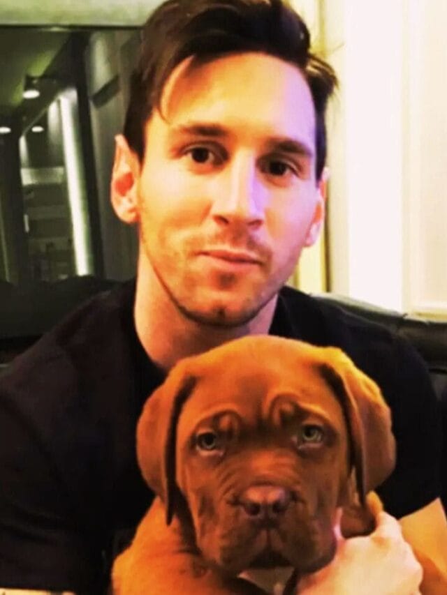 9 Most Popular Dog Breeds That Celebrities Prefer The Most